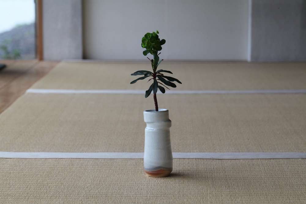 一輪生 輪違い 樫灰釉