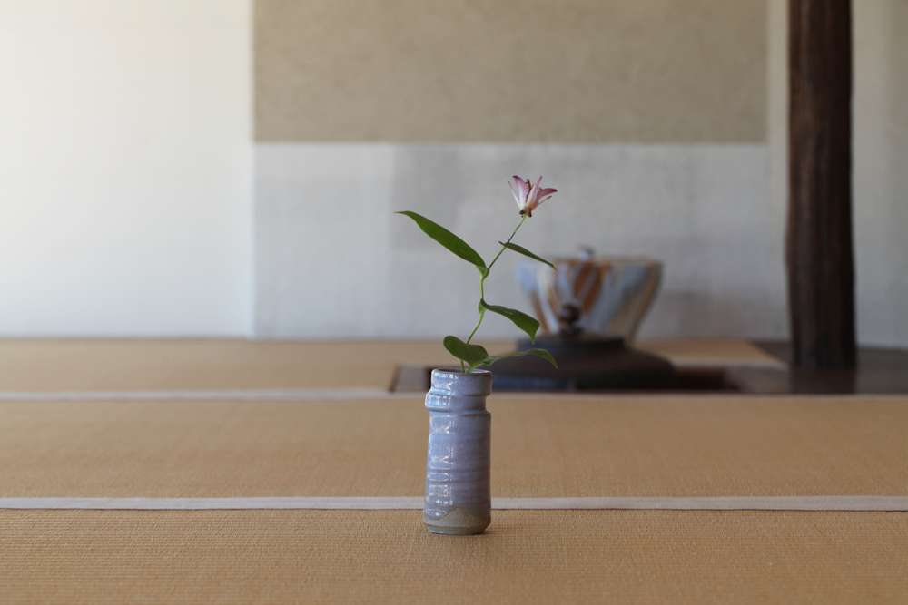 一輪生 輪違い 月白釉