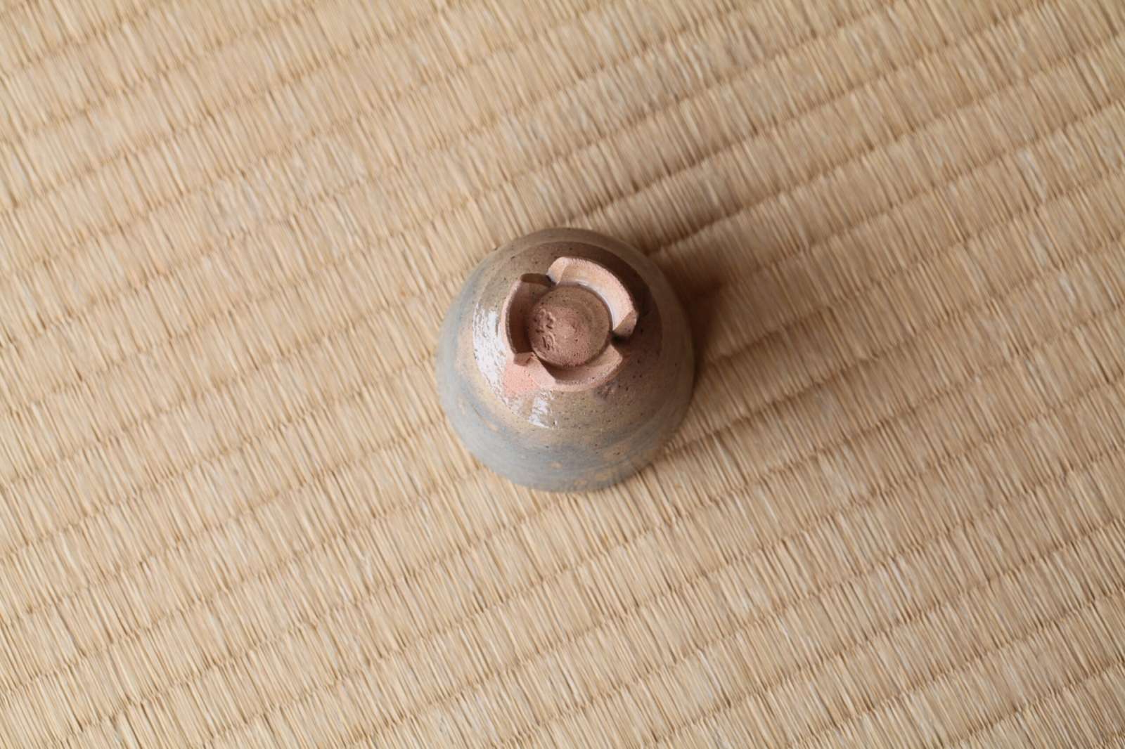 酒呑 甲辰 紅鹿背  / 十六世豊斎作