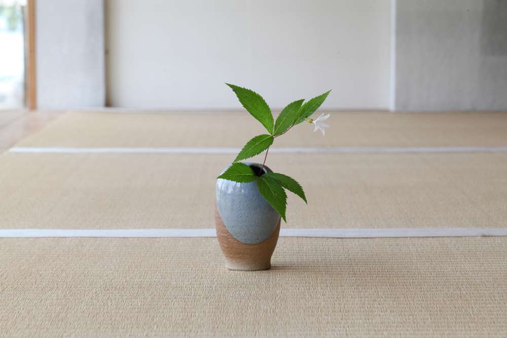 一輪生 / 振り出し  月白釉